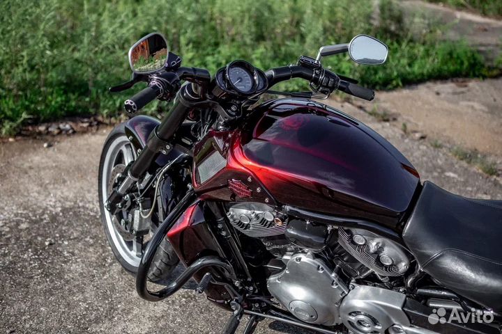 Harley Davidson v-rod muscle