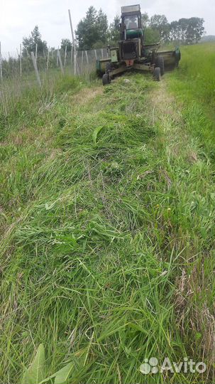 Сено луговое этого года