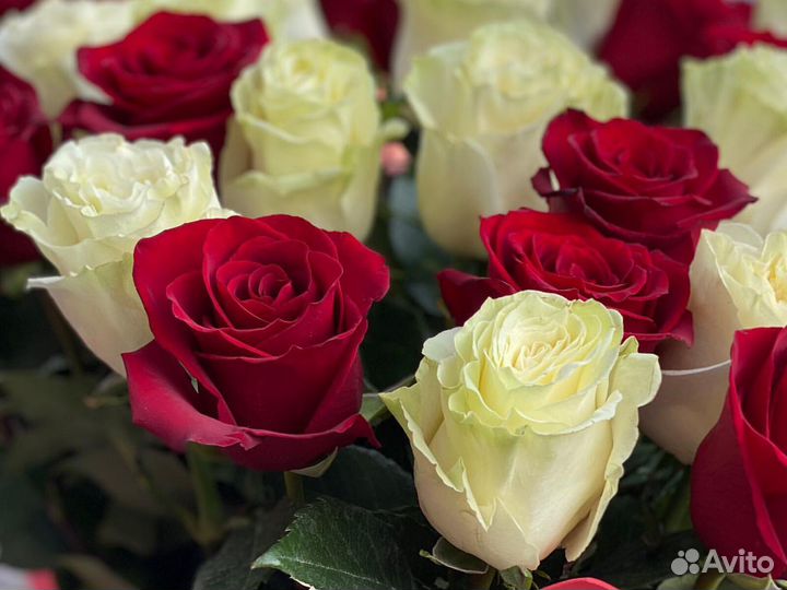 15 роз 51 25 31 25 Розы Цветы доставка