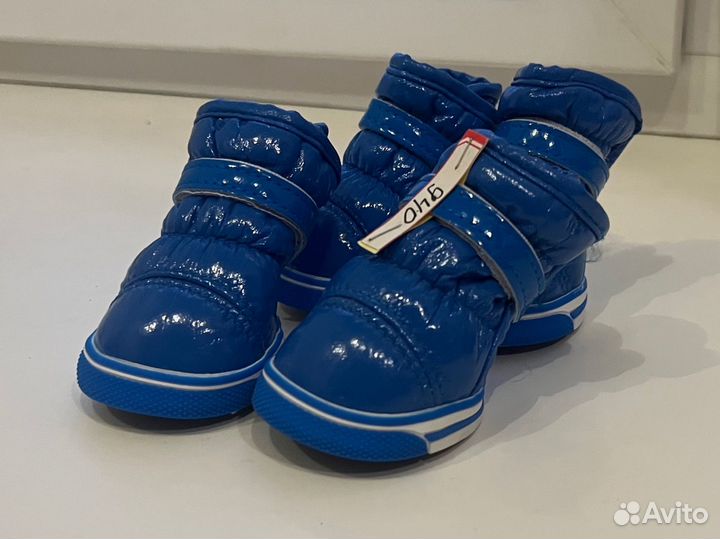 Одежда для собак