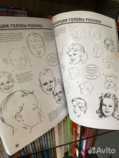 Полный курс рисования