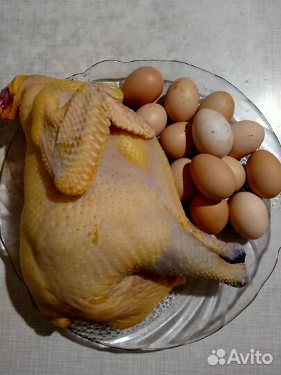 Мясо цесарки