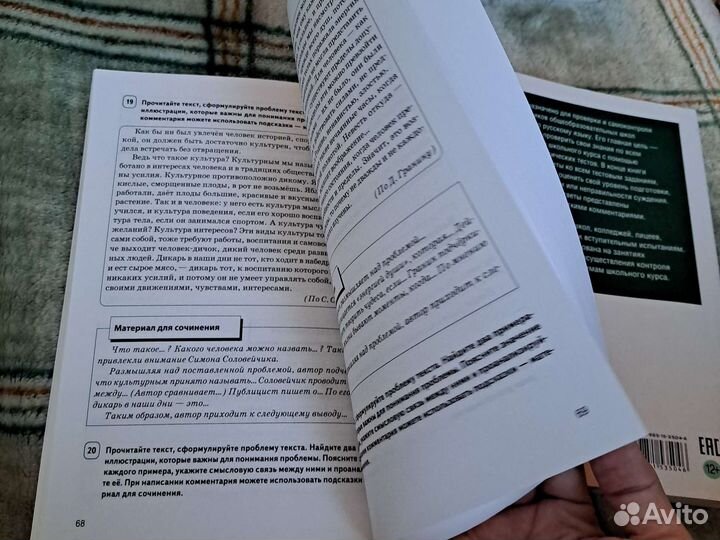 Сборник по русскому языку Сенина и тренажёр Балуш