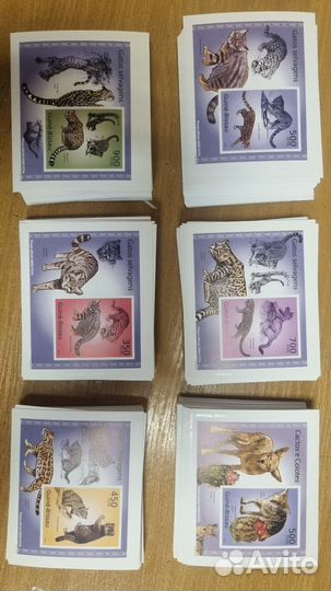 Марки Гвинея Бисау 2010 г. Дикие кошки