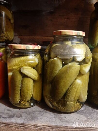 Домашние заготовки огурцы помидоры