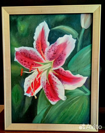 Картина маслом. Лилия. 30х40