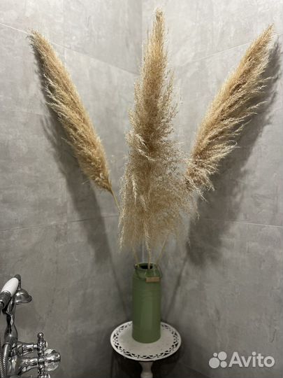 Пампасная трава сухоцвет 3шт 120см