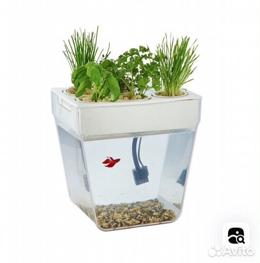 Аквариум ферма
