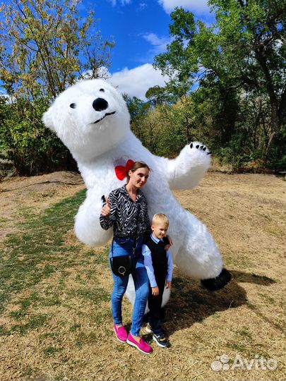 Большой белый медведь из тик тока и другие