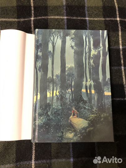 Чарльз де Линт. Кошки дремучего леса