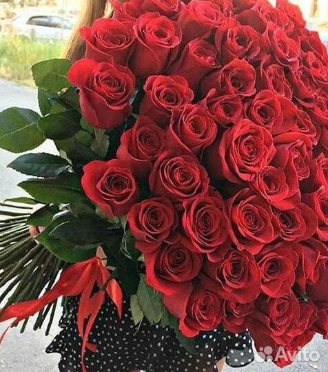 Высокие розы Доставка цветов