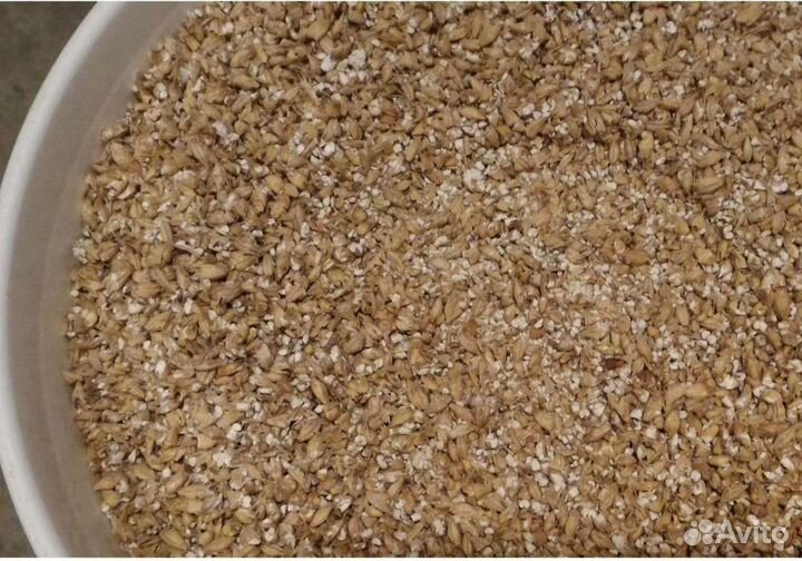 Пшеница дробленая