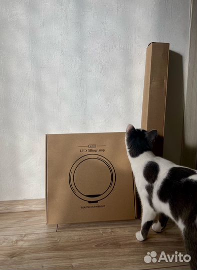 Новая кольцевая лампа