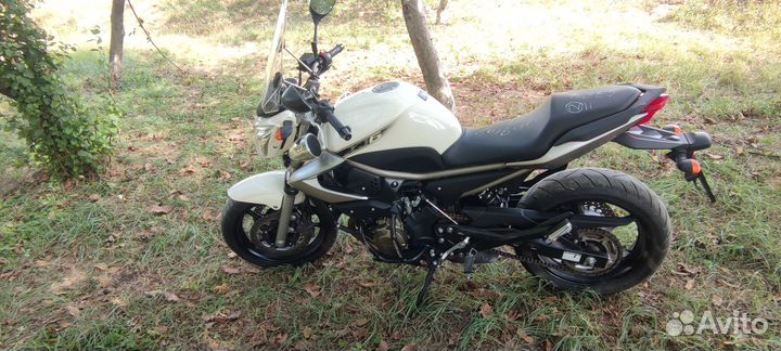 Yamaha XJ6N