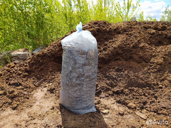 Конский навоз