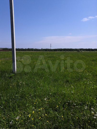 Участок 30 сот. (ИЖС)