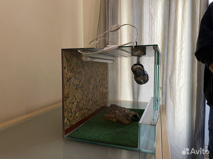 Террариум для сухопутной черепахи