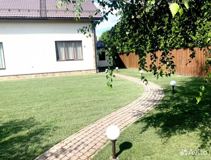 Рулонный газон от производителя