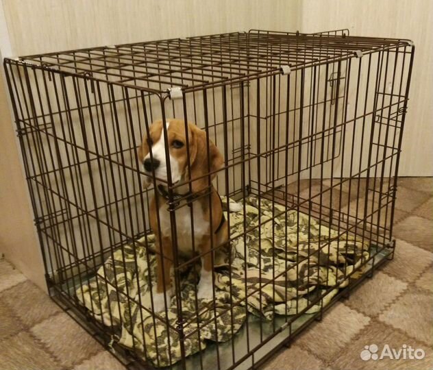 Клетка для животных