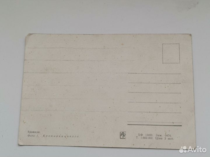 Открытка СССР с цветами