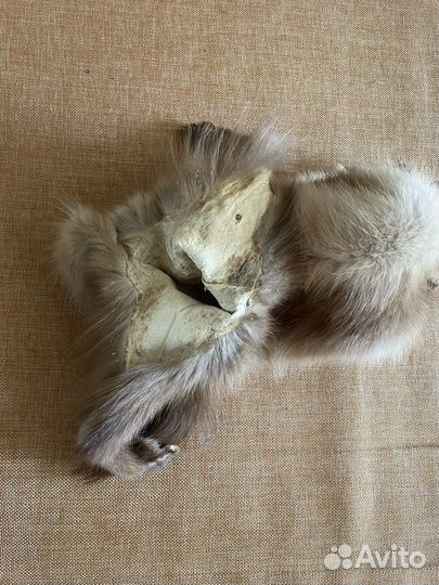 Шкурка куницы