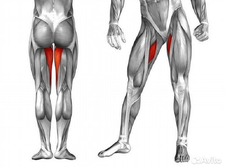 Тренажер Leg Magic