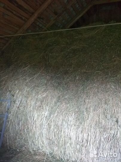 Луговое сено