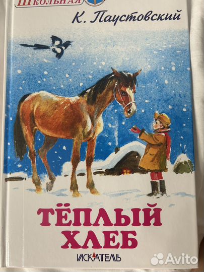 Книги для внеклассного чтения