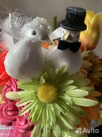 Свадебные голуби