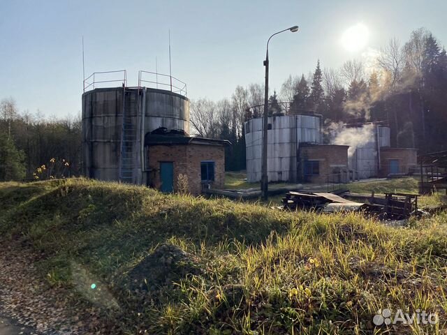 Экологические консультации