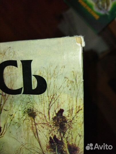 Книга Живопись