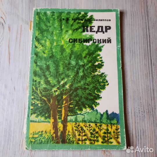 Кедр сибирский. Ларин, Филиппов. 1980 г