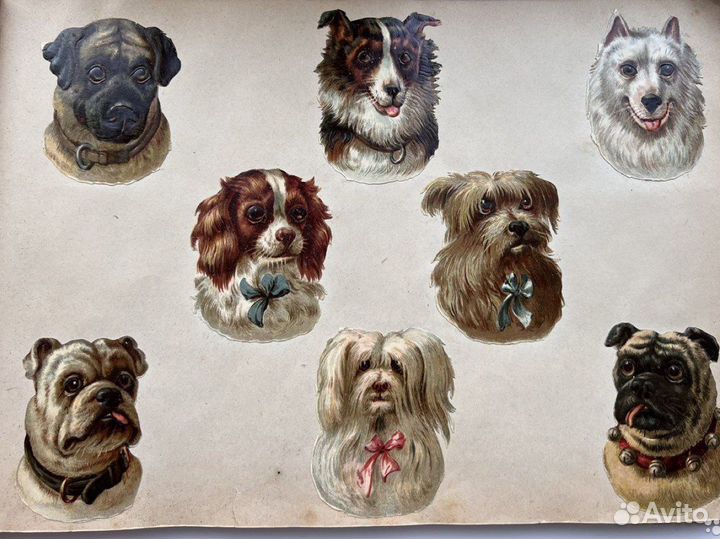 Дореволюционный альбом для наклеивания картинок