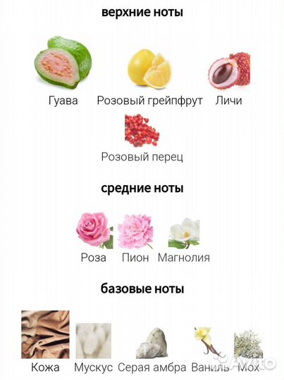 Ajwad Pink to Pink Lattafa Perfumes