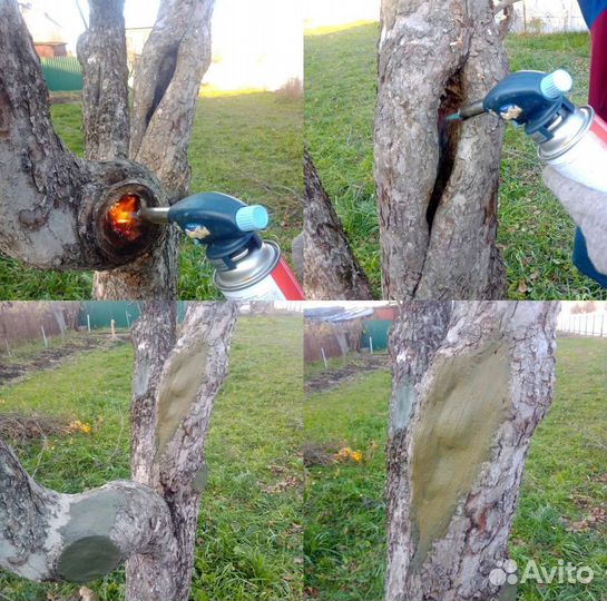 Профессиональная обрезка плодовых деревьев.Коломна