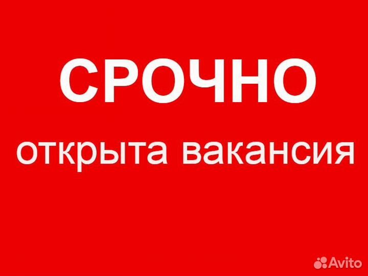 Продавец кассир (ул. Советской Армии)