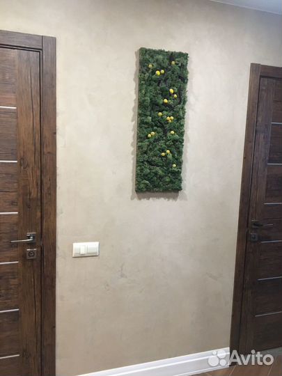 Пано из стабилизированного мха