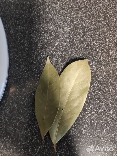 Лавровый лист
