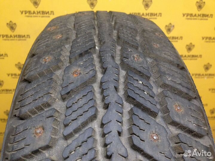 Nexen Winguard 231 175/65 R14