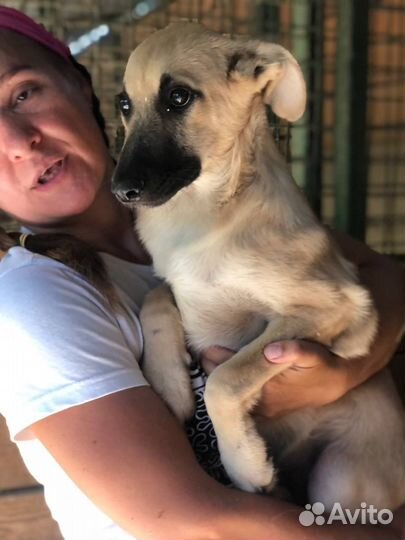 Малыш в добрые руки