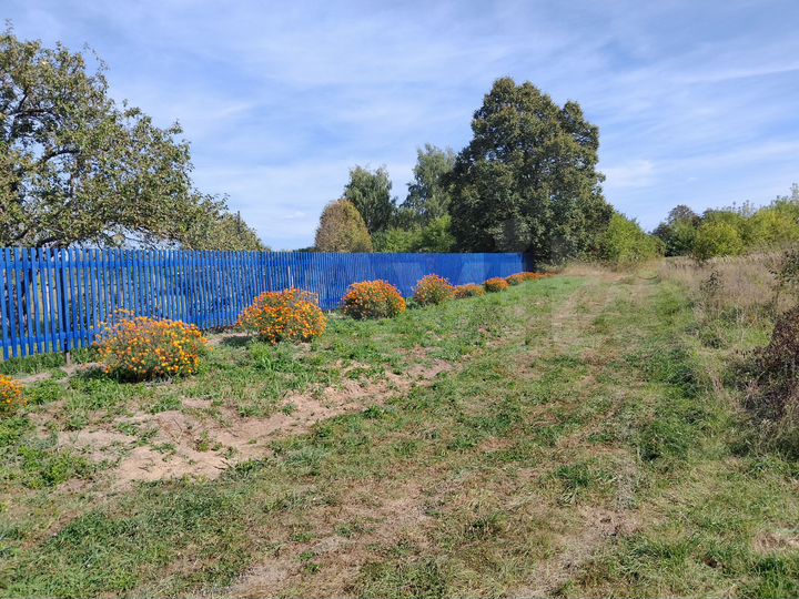 Дом 80 м² на участке 33 сот.