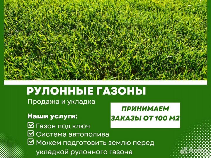 Укладка рулонного газона