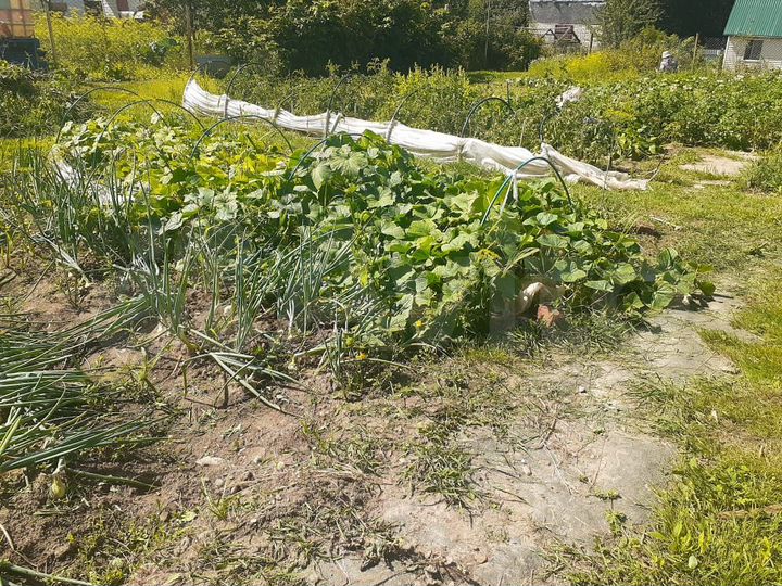 Участок 5 сот. (СНТ, ДНП)