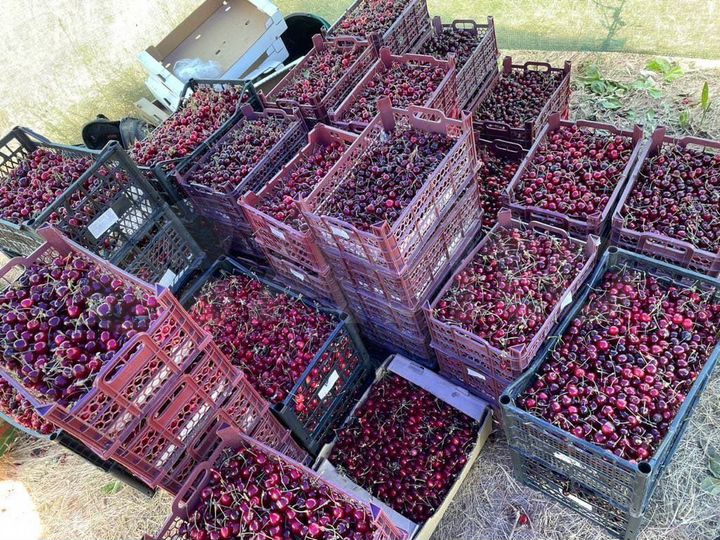 Участок 4,5 га (СНТ, ДНП)