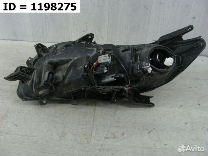 Фара правая Mitsubishi Pajero