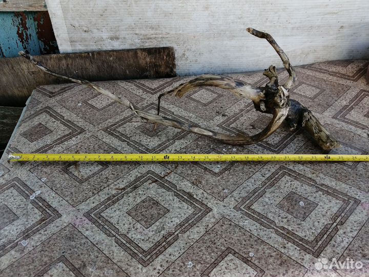 Коряги для аквариума