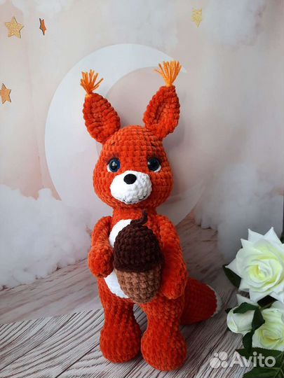 Белка Затейница