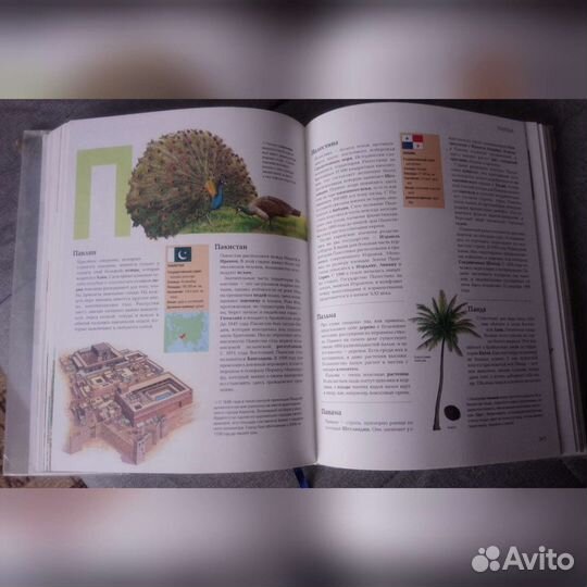 Детская энциклопедия