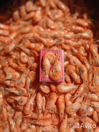 Азовская креветка