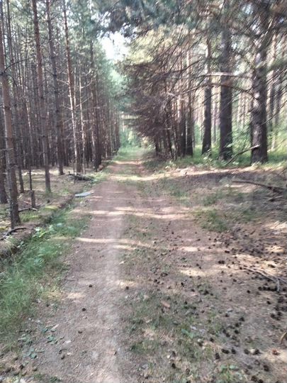 Участок 17,1 сот. (ИЖС)